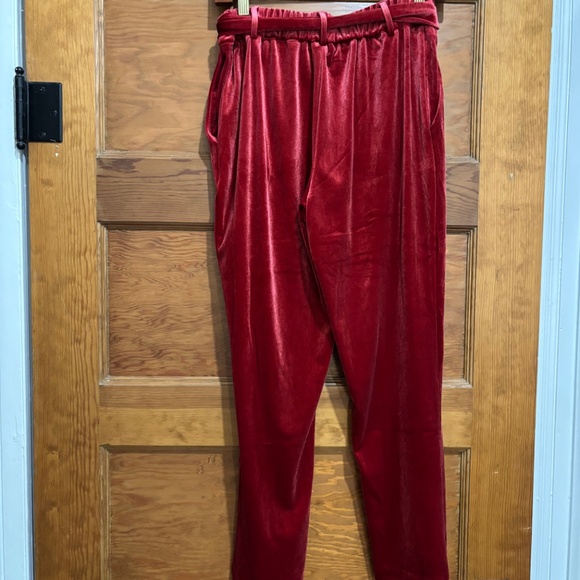 WOMENS VELVET PANTS - Picture 7 of 9